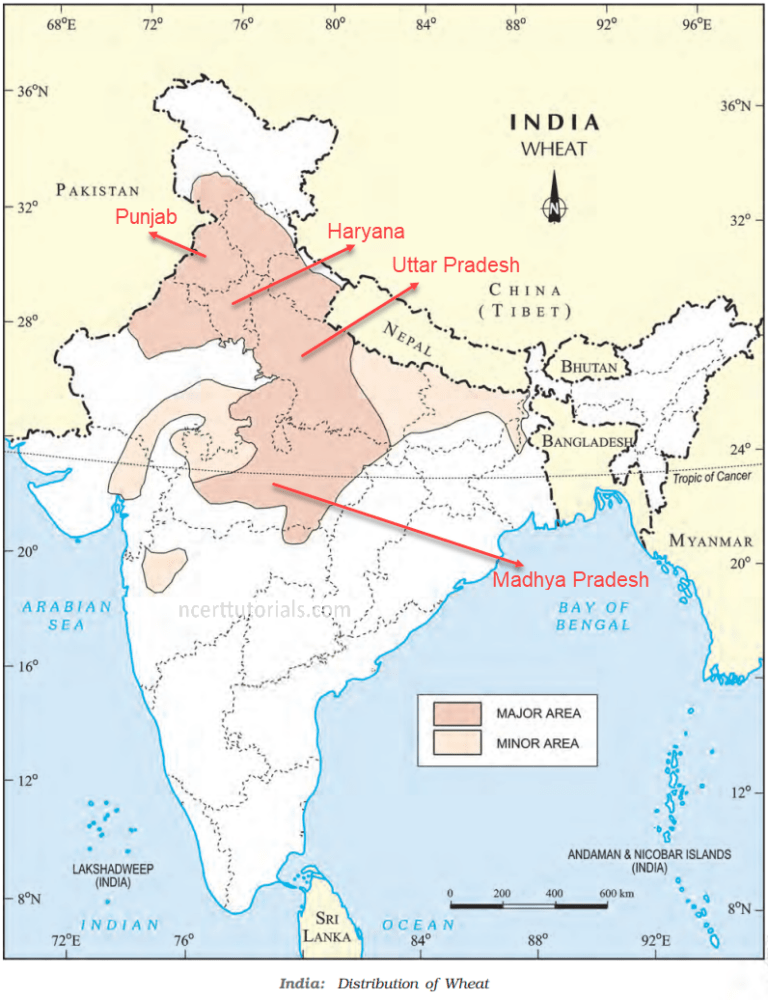 agriculture-question-answer-solutions-geography-class-10-cbse-ncert-tutorials